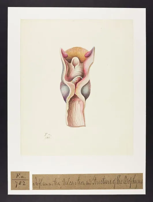 Framed Print : 13741753 Framed Print : 13741753