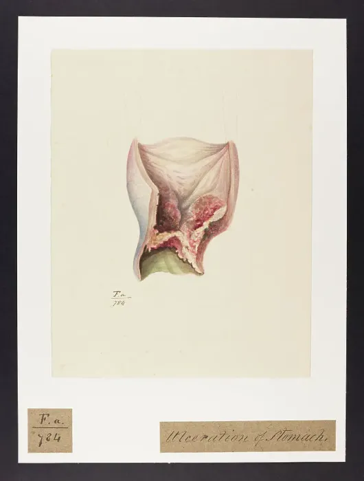 Framed Print : 13741755 Framed Print : 13741755