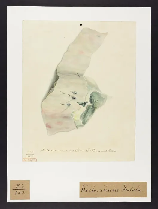 Framed Print : 13741773 Framed Print : 13741773