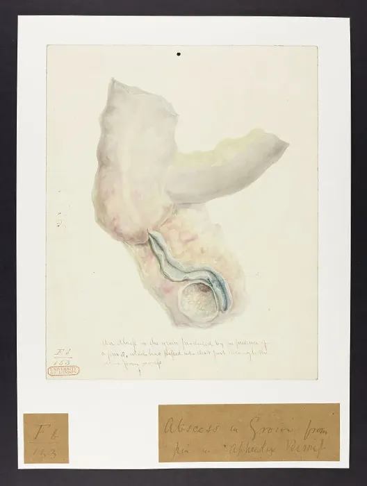 Framed Print : 13741774 Framed Print : 13741774