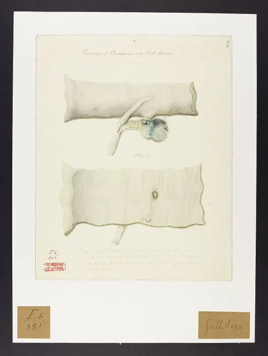 Framed Print : 13741804 Framed Print : 13741804