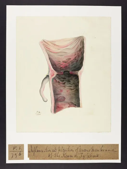 Framed Print : 13741824 Framed Print : 13741824