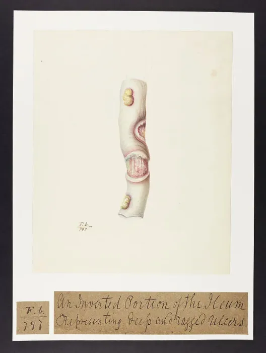 Framed Print : 13741825