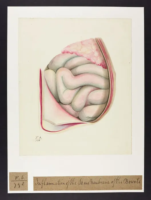 Framed Print : 13741826 Framed Print : 13741826