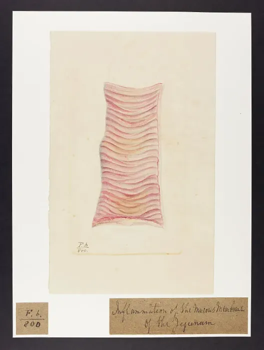 Framed Print : 13741828 Framed Print : 13741828