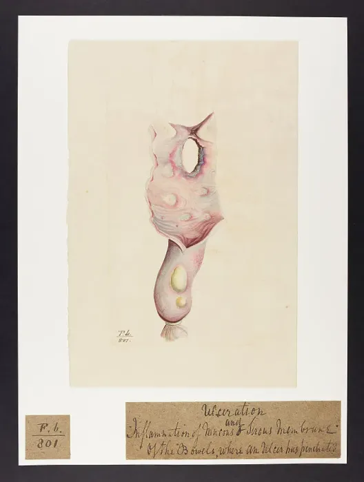 Framed Print : 13741829 Framed Print : 13741829