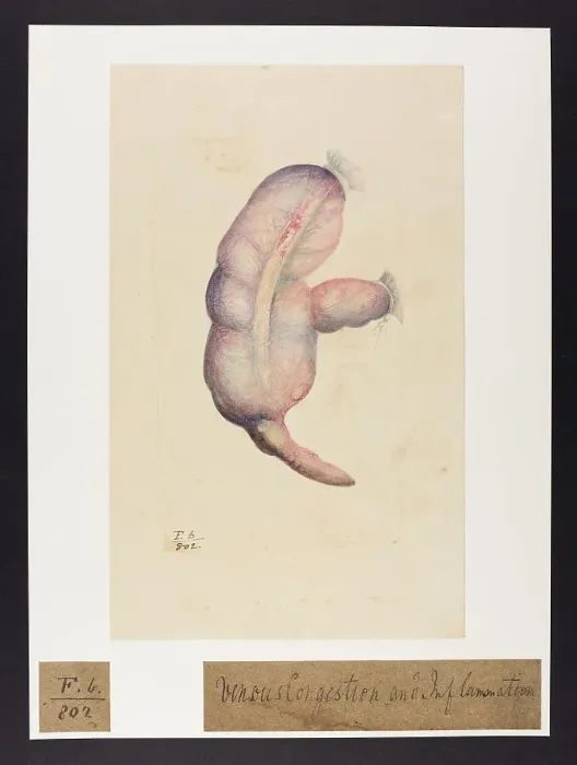 Framed Print : 13741830 Framed Print : 13741830