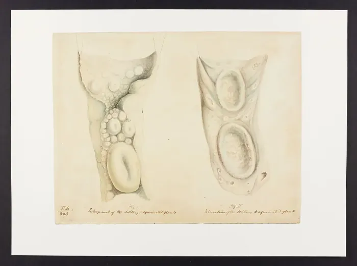 Framed Print : 13741831 Framed Print : 13741831