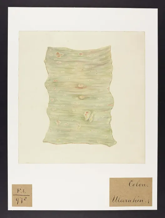 Framed Print : 13741842 Framed Print : 13741842