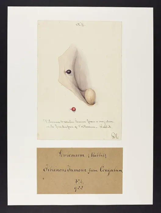 Framed Print : 13741849 Framed Print : 13741849