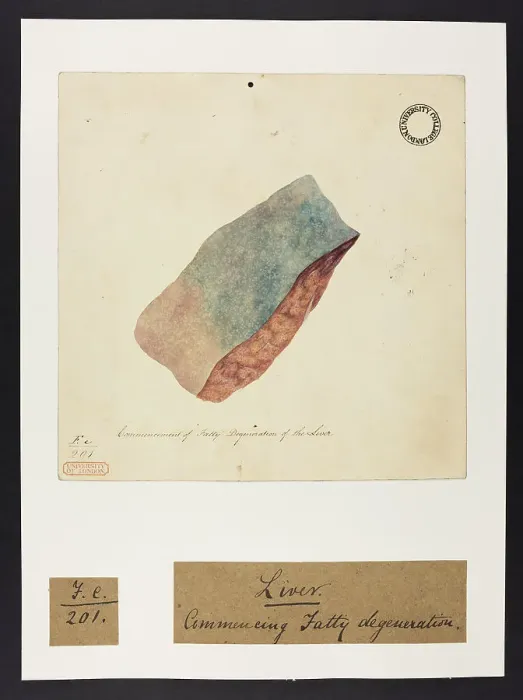 Framed Print : 13741851 Framed Print : 13741851