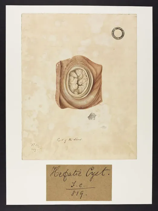Framed Print : 13741893 Framed Print : 13741893