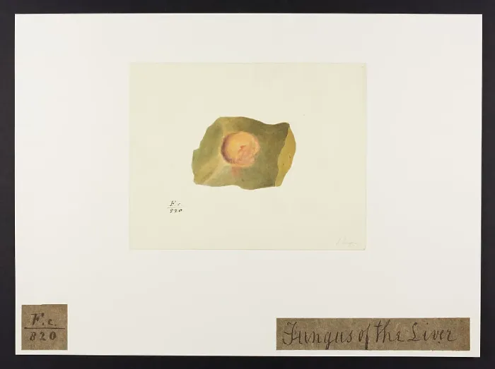 Framed Print : 13741894 Framed Print : 13741894