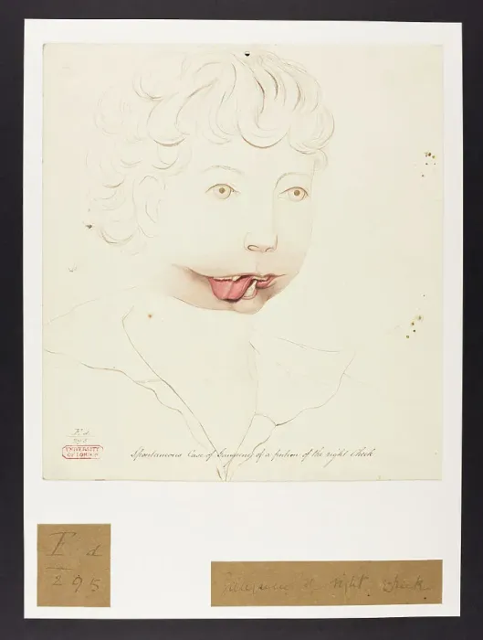 Framed Print : 13741919 Framed Print : 13741919