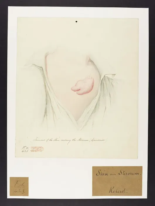 Framed Print : 13741922 Framed Print : 13741922