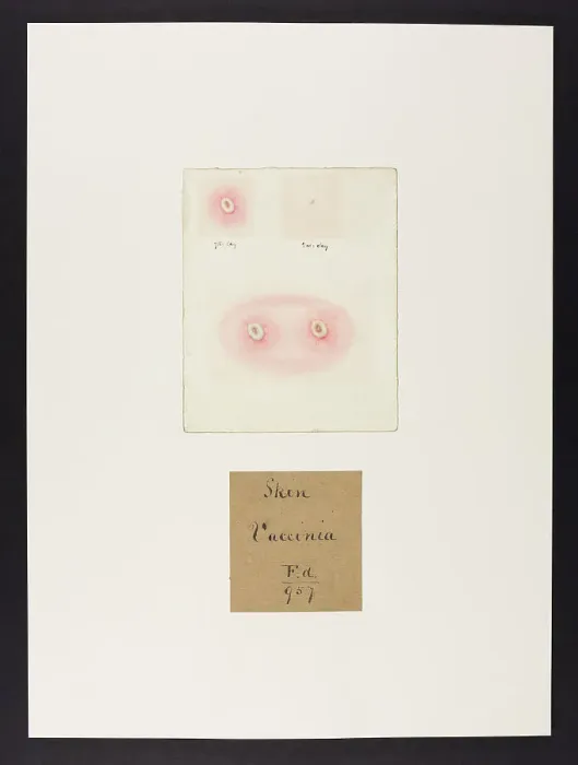 Framed Print : 13741936 Framed Print : 13741936