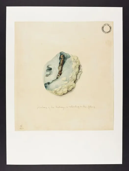 Framed Print : 13741963 Framed Print : 13741963