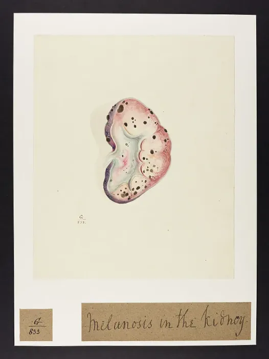 Framed Print : 13741977 Framed Print : 13741977