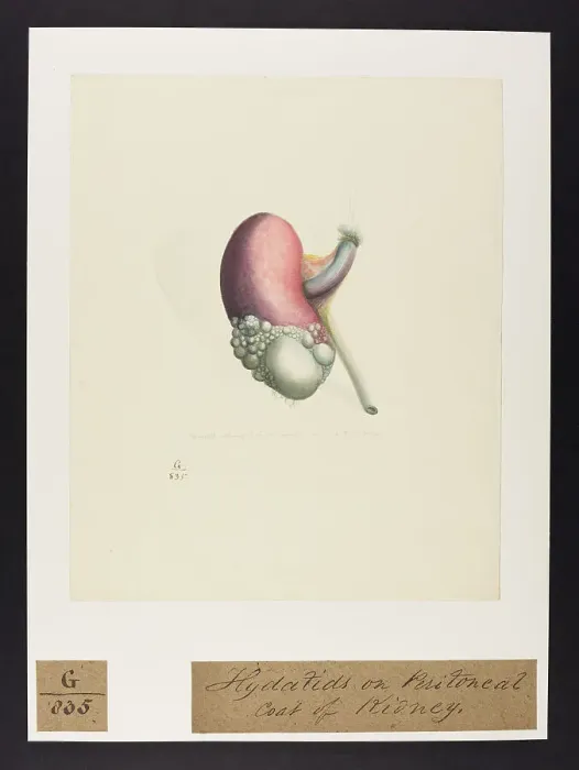 Framed Print : 13741979 Framed Print : 13741979
