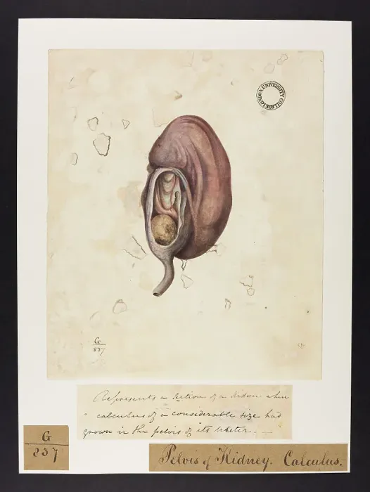 Framed Print : 13741981 Framed Print : 13741981
