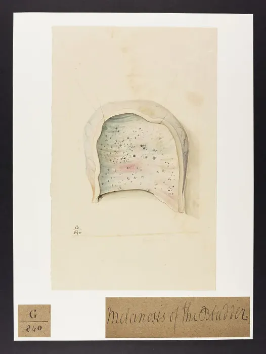 Framed Print : 13741984 Framed Print : 13741984