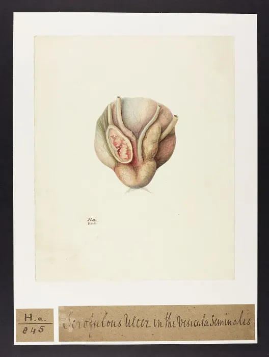 Framed Print : 13742002 Framed Print : 13742002