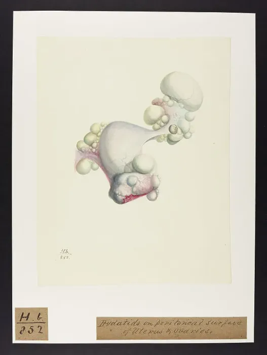 Framed Print : 13742044 Framed Print : 13742044