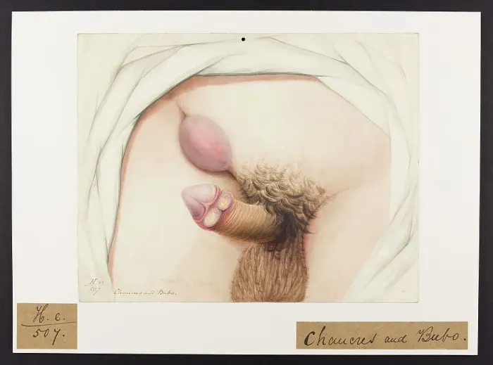 Framed Print : 13742064 Framed Print : 13742064