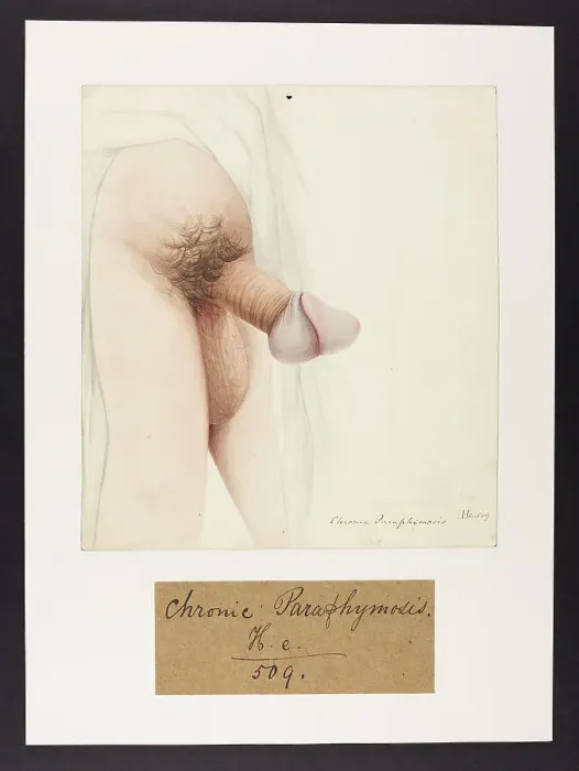 Framed Print : 13742066 Framed Print : 13742066