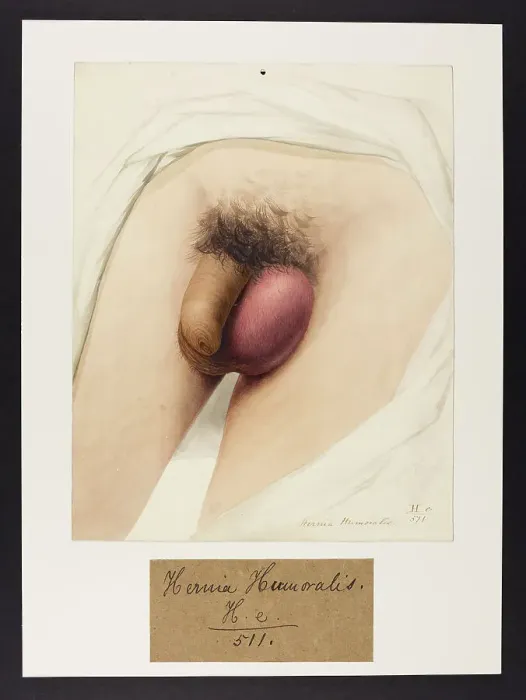Framed Print : 13742068 Framed Print : 13742068
