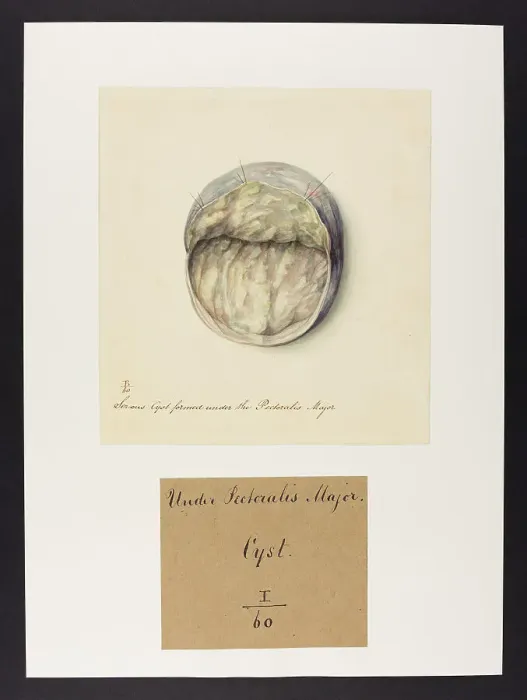 Framed Print : 13742082 Framed Print : 13742082