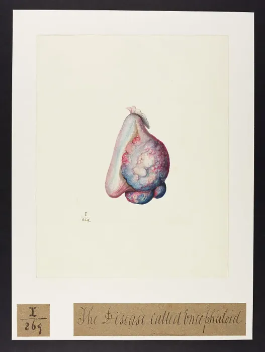 Framed Print : 13742088 Framed Print : 13742088