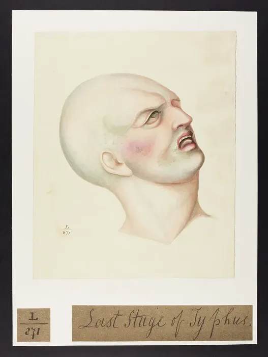 Framed Print : 13742100 Framed Print : 13742100