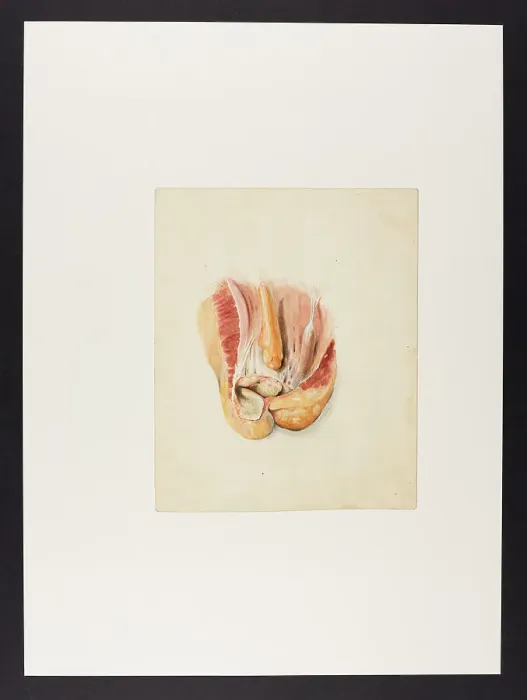 Framed Print : 13742106 Framed Print : 13742106