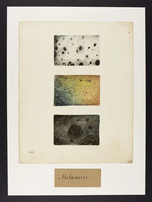 Framed Print : 13742108 Framed Print : 13742108