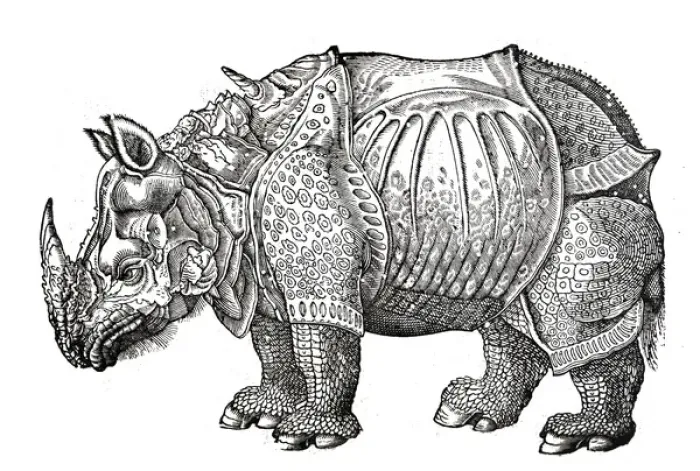 Framed Print : Rhino from Topsells The history of four-footed beasts and serpents Date: 1658 Framed Print : Rhino from Topsells The history of four-footed beasts and serpents Date: 1658