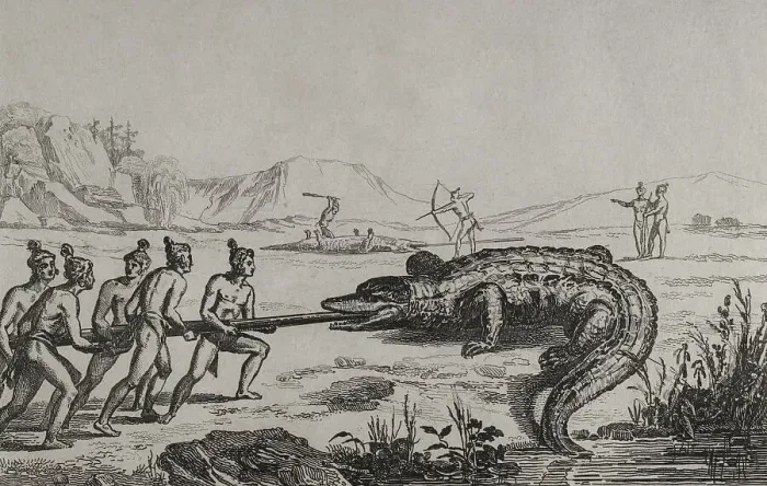 Framed Print : 16th century French expedition. Florida. Crocodile hunting Framed Print : 16th century French expedition. Florida. Crocodile hunting