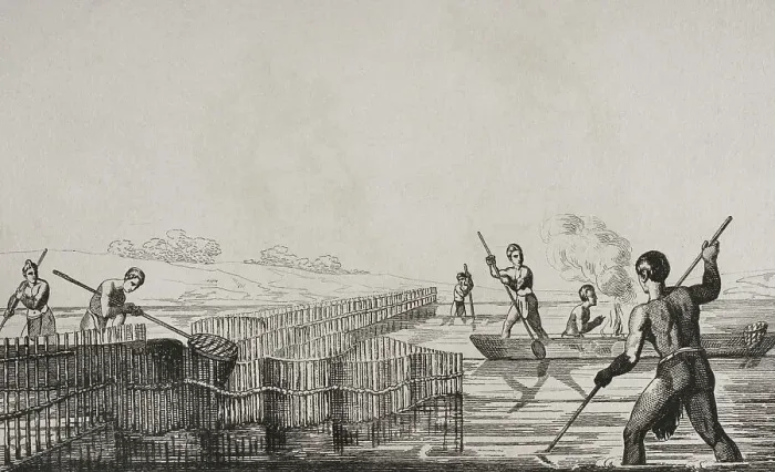 Framed Print : 16th century French expedition - Seminole Indians fishing Framed Print : 16th century French expedition - Seminole Indians fishing