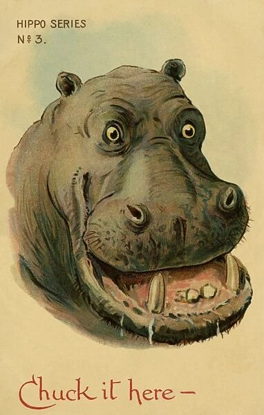 Hippo. Humorous drawing of a hippo. Chuck it here. Artist George Henry Thompson Date: 1904