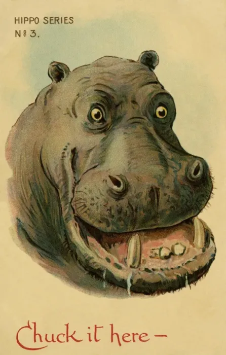 Framed Print : Hippo. Humorous drawing of a hippo. Chuck it here. Artist George Henry Thompson Date: 1904 Framed Print : Hippo. Humorous drawing of a hippo. Chuck it here. Artist George Henry Thompson Date: 1904