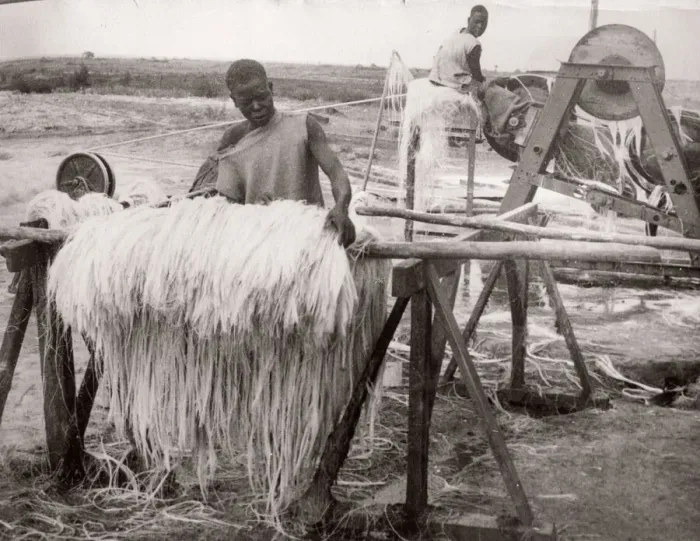 Framed Print : 1940s East Africa - making sisal, Kenya Framed Print : 1940s East Africa - making sisal, Kenya