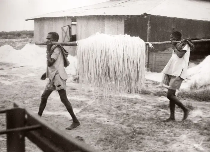 Framed Print : 1940s East Africa - making sisal, Kenya Framed Print : 1940s East Africa - making sisal, Kenya