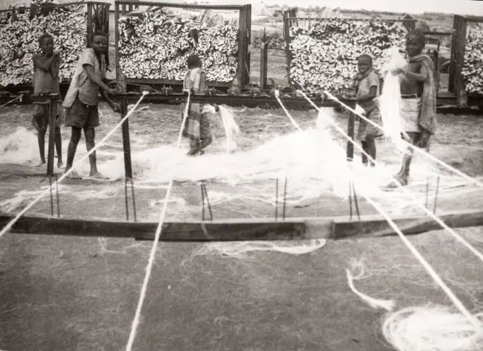 Framed Print : 1940s East Africa - making sisal, Kenya Framed Print : 1940s East Africa - making sisal, Kenya