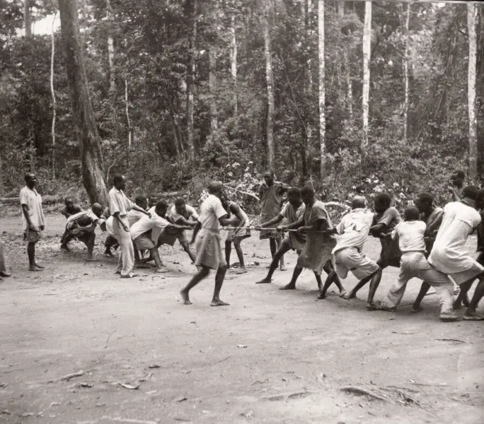 Framed Print : 1940s East Africa Uganda - Budongo forest Framed Print : 1940s East Africa Uganda - Budongo forest