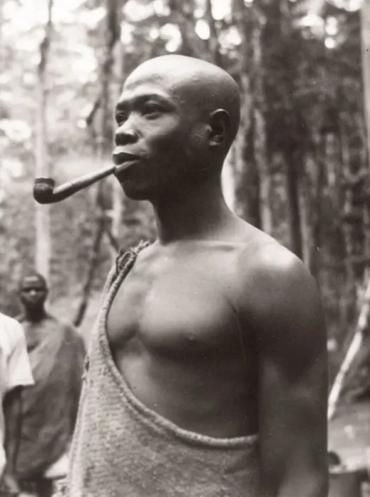 Framed Print : 1940s East Africa Uganda - Budongo forest, a woodsman Framed Print : 1940s East Africa Uganda - Budongo forest, a woodsman