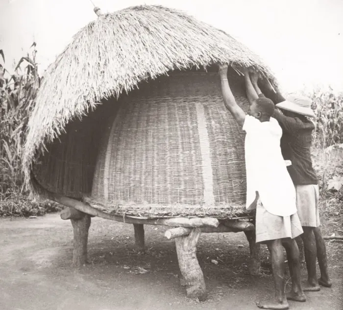 Framed Print : 1940s East Africa - Uganda - Bunyuro - a grain store Framed Print : 1940s East Africa - Uganda - Bunyuro - a grain store