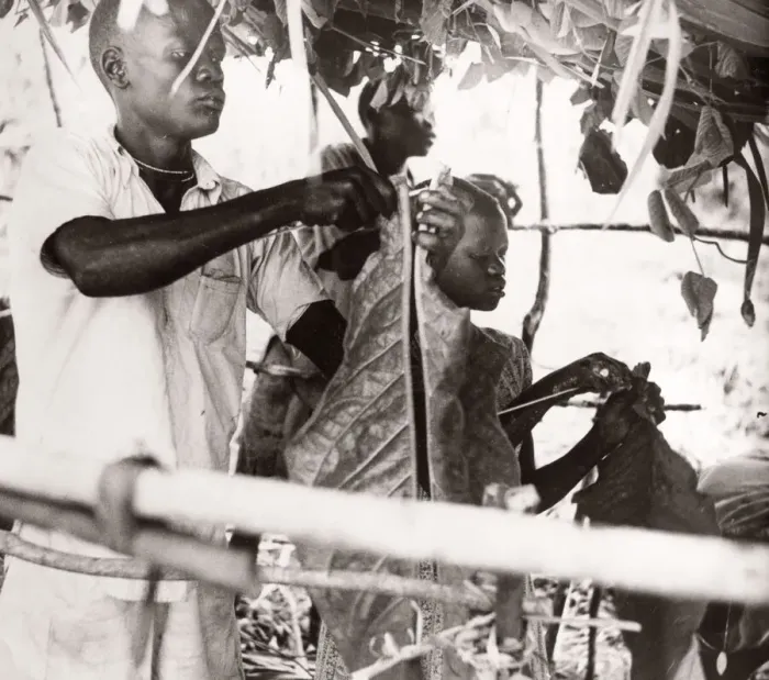Framed Print : 1940s East Africa Uganda - growing tobacco Framed Print : 1940s East Africa Uganda - growing tobacco