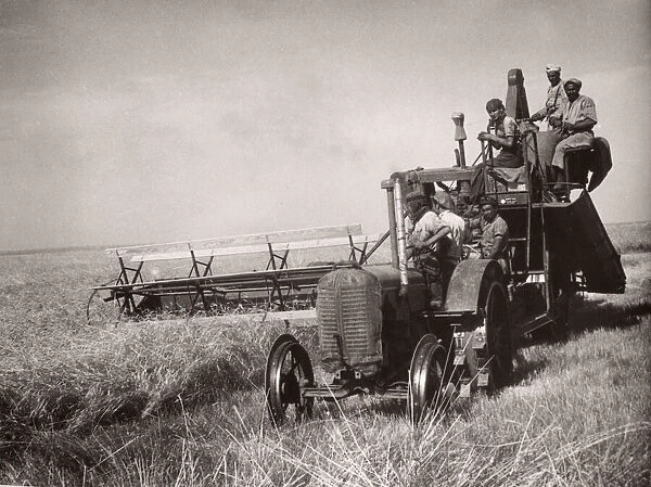 1943 Syria 1943 reaping crops with a lend lease combine