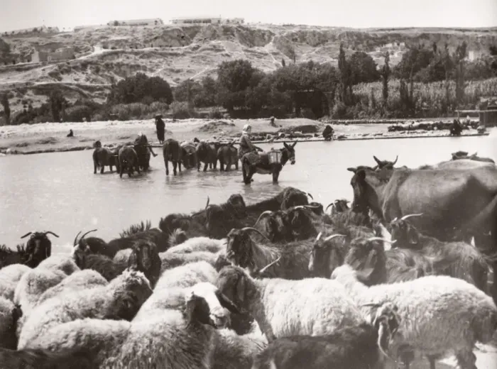 Framed Print : 1943 Syria - Hama on the river Orontes Framed Print : 1943 Syria - Hama on the river Orontes