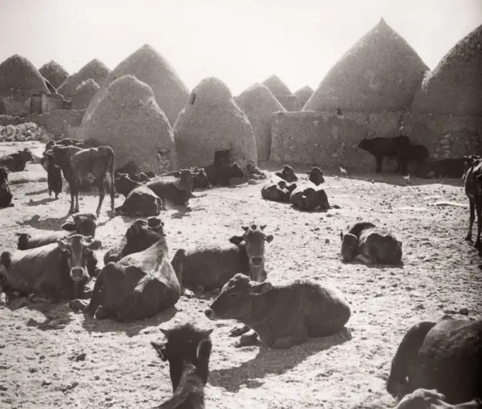 Framed Print : 1943 Syria village with traditional mud beehive houses Framed Print : 1943 Syria village with traditional mud beehive houses